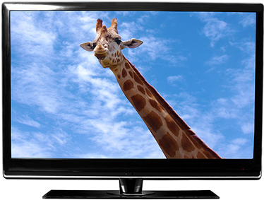 LED televizor va LCD televizor o'rtasidagi farq nima?